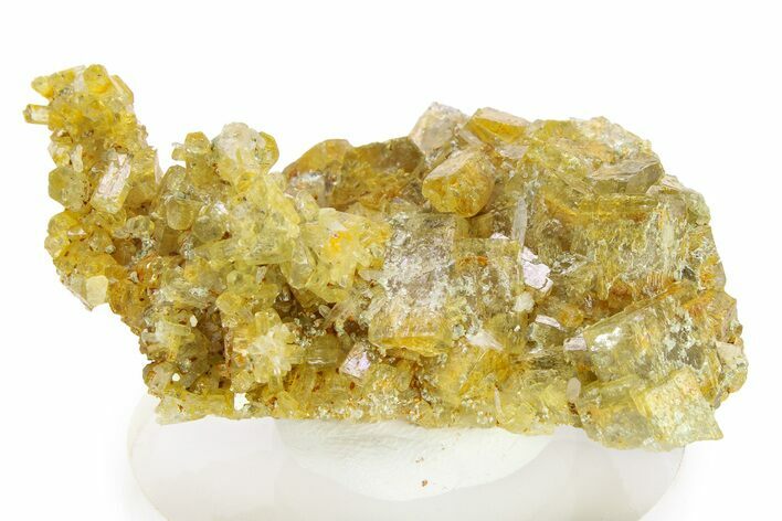 Gemmy Heliodor Crystal Cluster - Erongo Mountains, Namibia #281662